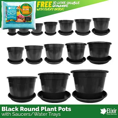Plant Pot Tree Shrub Plastic Planter Pots With Reinforced Rim And Saucers • £9.89