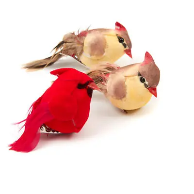 $24.66 • Buy Factory Direct Craft Artificial Cardinal Mushroom Birds With Attached Clip 