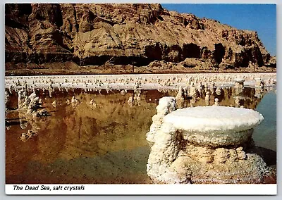 Dead Sea Salt Formations - Salt Crystals - Bible Lands (6X4 In) Postcard 9495 E • $5.41