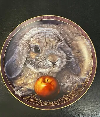 Bradford Exchange Bunny Tales Plate - APPLE DUMPLIN' - Vivi Crandall • $12