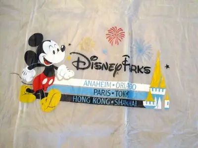 Official Disney Park Child Rain Poncho Set Of 2 New Never Been Used • $11.88