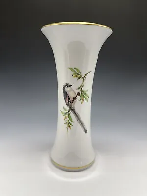 Vintage Meissen Trumpet Vase Bird Butterfly Gold Signed 10  Tall Hourglass • $500