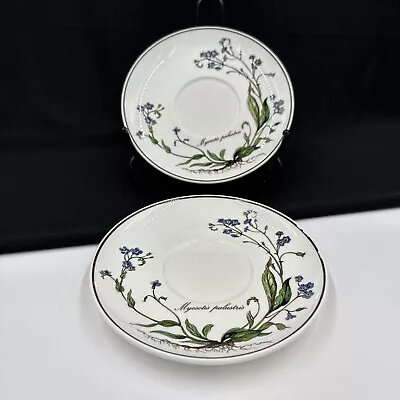 Villeroy & Boch Botanica Myosotis Palustris W/roots (2) 5 7/8” Saucer For Teacup • $9.95