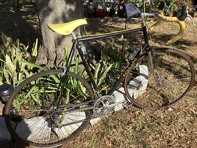 1982 Colnago Super With All Campagnolo Gruppo • $1595