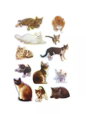 Cat & Kitten Stickers Childrens Card Making Decoration Labels For Kids LS26 • £2.99