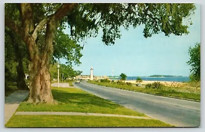 Biloxi Mississippi~Gulf Coast Highway~Lighthouse~Beach~Live Oak Tree~1950s PC • $10.50