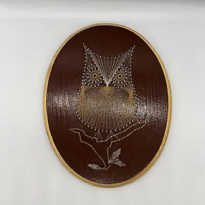 Vintage String Nail Art Sitting Hoot Owl On Branch Wall Hanging Oval 70s Boho • $35