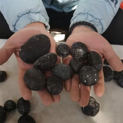 2.2LB 23Pcs Rare Big Sirian Meteorite Tektite Specimen Wholesale Price Indonesia • $60