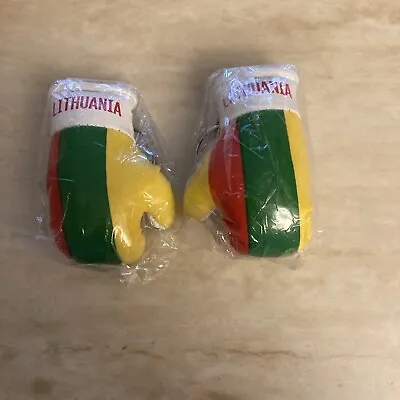 Lithuania Country Flag Mini Boxing Gloves Pair Keychains • $13.05