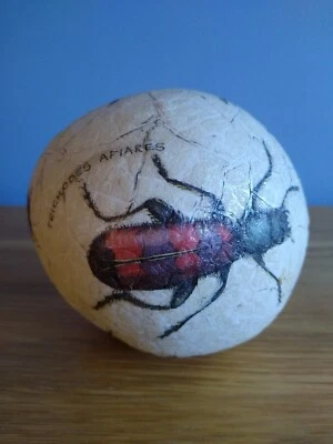 £4.95 • Buy Unusual Painted Seed Pod With Appliqué Insects Ladybird Beetles Ornament