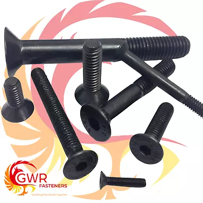£2.75 • Buy M2 M2.5 M3 M4 M5 M6 Socket Countersunk Screws 10.9 Ht Csk Hex Allen Key Bolts