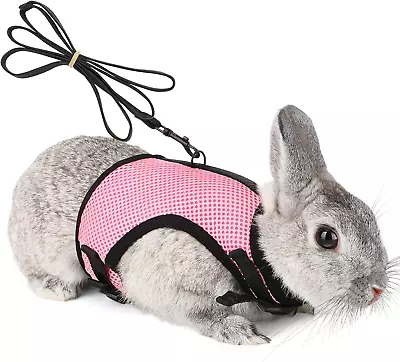 Bunny Rabbit Harness With Stretchy Leash Cute Adjustable Buckle Breathable Mesh  • $16.43