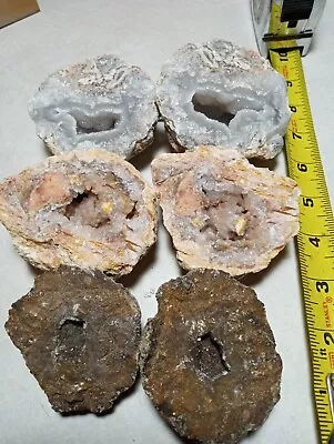 Mexican Choya Geode Variety Pack Choyas Trancas Crystal Canyon 3 Geodes  #2 • $45