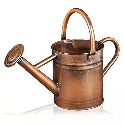 Watering Can - Metal Watering Can With Removable Spout Perfect Plant Watering C • $29.99