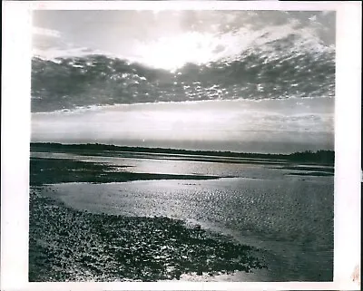 1965 Anna Maria Inlet Nursery Ground Fish Tidal Flats Vital Beautiful 8X10 Photo • $24.99