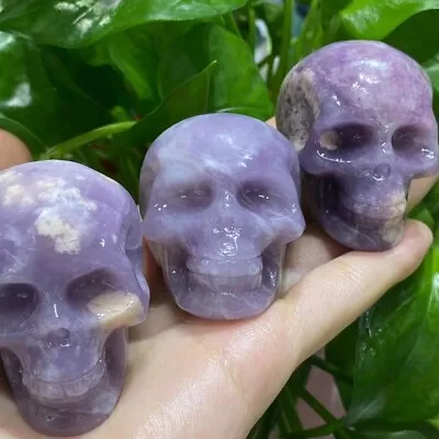 1pc Natural Lepidolite Quartz Carved Crystal Skull Reiki Healing Random • $16.07