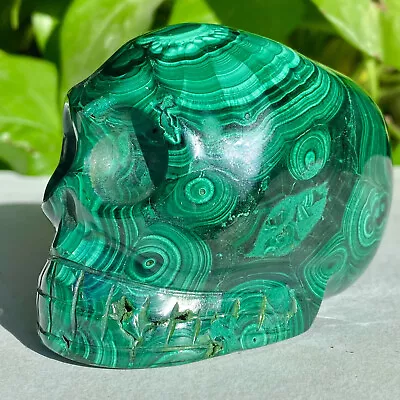 1.62LB Natural Malachite Quartz Crystal Skull Carved Stone Skeleton Ghost Head H • $1.25