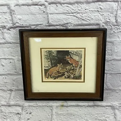 Vintage 1960’s Era Foxes Print By Gene Gray Matted In Brown & Black Wood Frame • $24.99