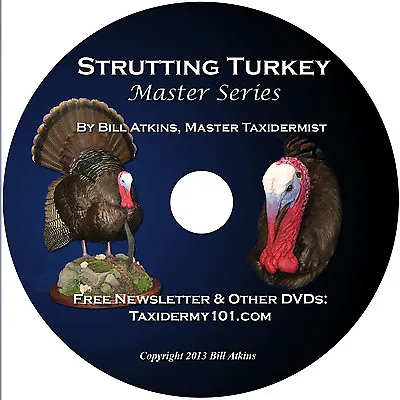 Learn Turkey Taxidermy DVD For Beginners - Taxidermy Training • $16.95
