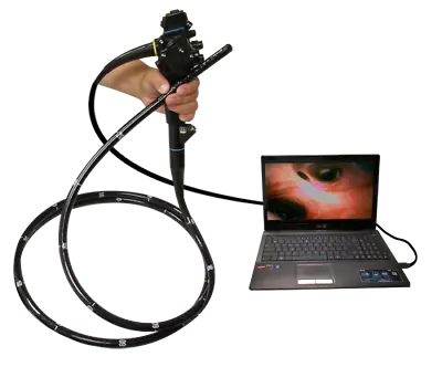 Plug & Play USB Equine Horse Video Airway Endoscope Scope 9.5mm 150cm LED Light • $5999