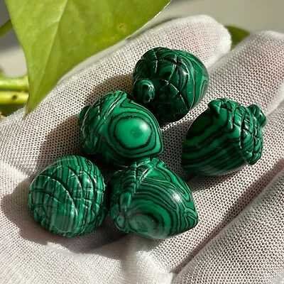 5pc Malachite Quartz Hand Carved Crystal Pine Nuts Gem Reiki Healing • $15.29