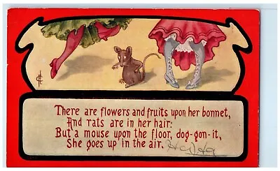 1911 Rat Mouse On The Floor Womens Feet Corning Ohio OH Posted Antique Postcard • $9.72