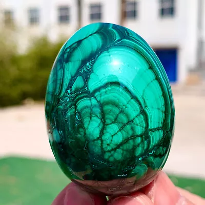 130G Natural Glossy Malachite Egg Transparent Cluster Rough Mineral Sample • $0.99
