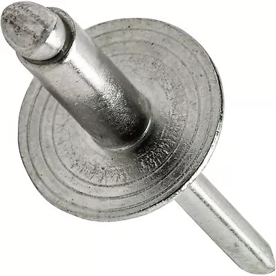 Large Flange Pop Rivets Stainless Steel 1/8  X 1/4  Size (4-4) Quantity 50 • $14.22