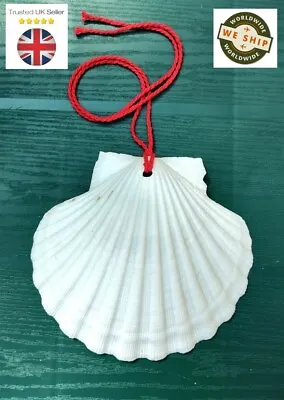 Camino De Santiago Pilgrim Scallop Shell - Pilgrim Rucksack Shell • £5.25