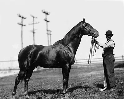 Champion Racehorse MAN O WAR Glossy 8x10 Photo Groom Will Harbutt Print • $5.49