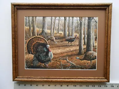 Maynard Reece WOODLAND TURKEYS 11x14 Framed 3.5 139 • $35