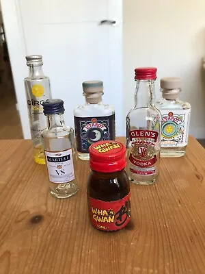 6 Miniature Spirit Bottles - All Different • £1.49