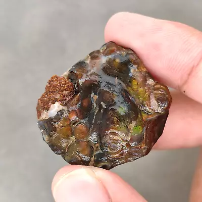 73.8 Ct Beautiful Iridescent Mexican Window Fire Agate Rough Specimen • $30