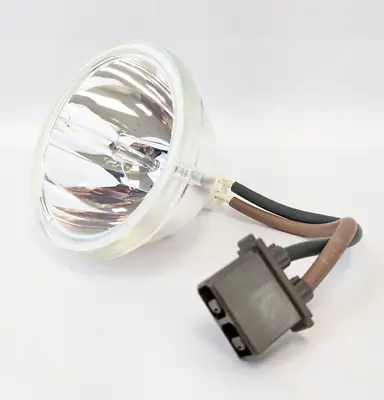 Lamp/Bulb Only For Toshiba D95-LMP 23311153A 23311153 New! • $89.95