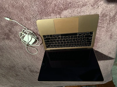 $1200 • Buy Apple MacBook Air Retina 13.3  (1TB SDD, Apple M1, 3.2Ghz, 16GB) Laptop - Gold -