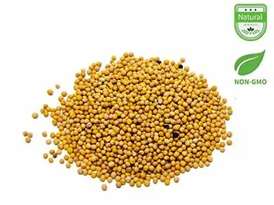 Aiva Mustard Seeds Yellow 1 LB • $12.99