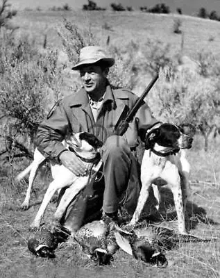 Antique Reproduction Pheasant Hunting 8x10 Photo Gary Cooper English Pointers • $11.99