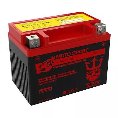 Neptune YTX4L-BS SLA Battery For ATV Quad Dirt / Pit Bike 50/70/110/125 CC • $21.99