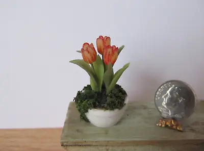 Artisan Hope Elliott Tulips Flowers Mossy Planter Pot  Dollhouse Miniature 1:12 • $66