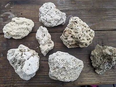 Coral Base Dry Live Rock (23 Lb) Reef Marine Tank Holey Rock Aquarium USED • £28.50