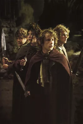The Lord Of The Rings The Fellowship Movie Wall Art Home Decor - POSTER 20x30 • $23.99