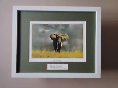 David Shepherd Print 'Wise Old Elephant' Signature In The Mount FRAMED • £41.50