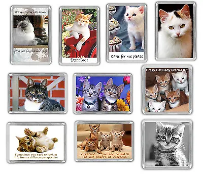 Cat Fridge Magnets - Kitten • £3.50