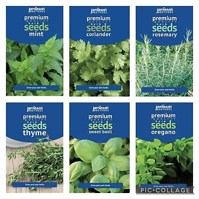£7.25 • Buy Kitchen Herbs 1 Each Of Oregano Coriander Sweet Basil Mint Rosemary Thyme