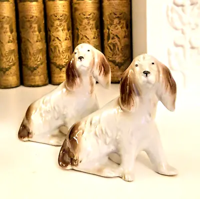 Vintage Beswick  Pair Of Cavalier King Charles Spaniel Dogs White & Brown Gloss • £14.99