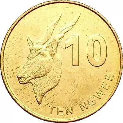 Zambia 10 Ngwee Coin | Eland | 2012 - 2017 • $5.46