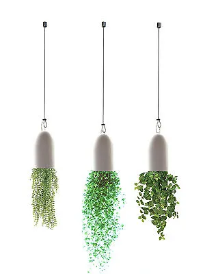£3.99 • Buy Ceiling Hanging Cable Displays Poster Banner Flower Plant Light Hanging 20KG
