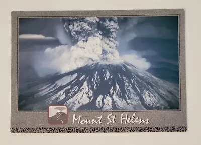Mt. St. Helens WA Vintage Postcard Eruption 6x4 Continental P1147 • $9.99