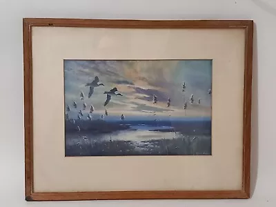 Peter Scott Vintage Duck Print  - Ducks Flying Over Reed Bed - Framed. • $18.50