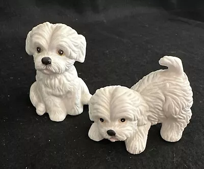 Set If 2 Two Vintage Homco White Maltese Bichon Porcelain Dog Figurines • $5.50